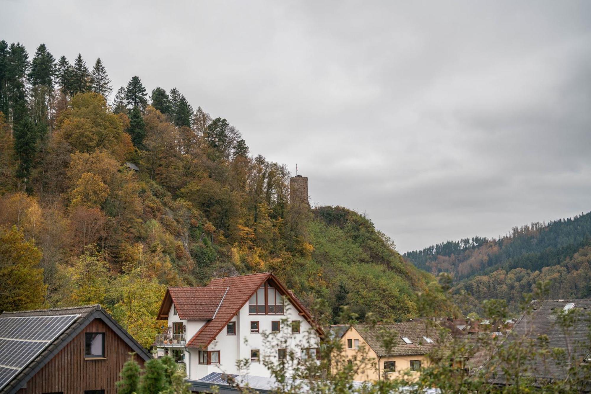 Ferienwohnung Burgblick Хаузах Екстериор снимка